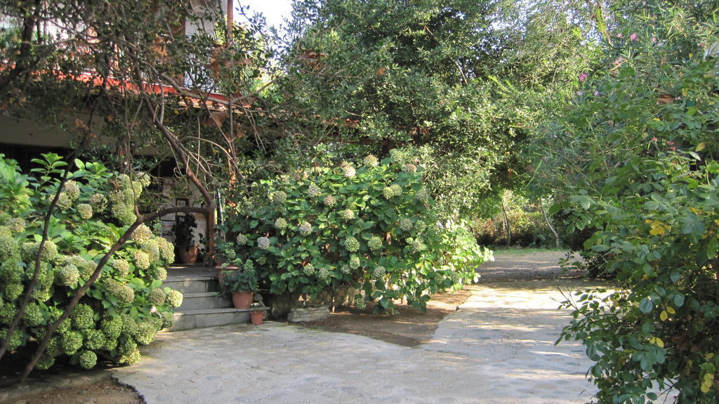 Akamatis Giorgos Hotel Therma  Bagian luar foto